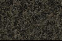 AfricaImpala Black M.jpg